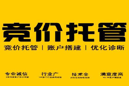 充值高返点背后的策略与技巧：案例分析